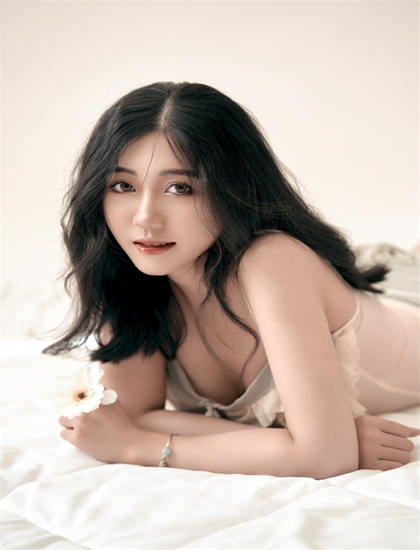 2026暑期档铁树花开：市场表现分析